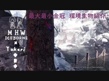 【MHWI】環境生物最大最小金冠紹介5クラヤミゲッコー
