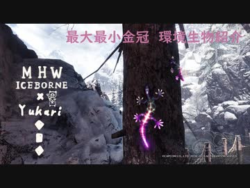 【MHWI】環境生物最大最小金冠紹介6月光ゲッコー