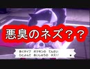 【極縛】ポケモン新法が制定されたけど、チャンピオン目指すよ＃１１【ポケモン剣盾】