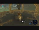 【Switch】リンクの記憶なしで成り行き旅【プレイ動画】part09
