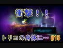 【 初めてのテラリウム】void tRrLM(); //ボイド・テラリウム　part15