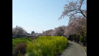 寒いんです　寒波が来てますから