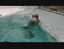 2020/2/5【スタジオ】今日もスタジオから【初見歓迎】