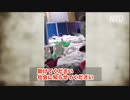 「助けて ・・・ 殺される！」