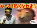 平成レトロゲームチョイス『ピクミン２』 その１５