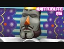 【塊魂TRIBUTE】転がして大きくするゲーム【＃5】