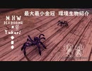 【MHWI】環境生物最大最小金冠紹介8スカベンチュラ