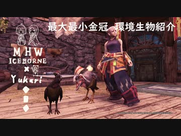 【MHWI】環境生物最大最小金冠紹介9ニクイドリ