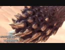 【MHWIB】イビルジョーにパンパンゼミしてるやつがいるってマジ？【モンスターハンターワールドアイスボーン】