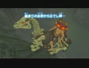 依頼を受けて、一撃の試練中の骨馬に乗ってお昼に台地から降りてみた