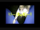 【エサよこせ！】ちびニャンコに、からまれた(;^ω^)