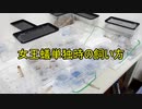 【ありの飼育記#116】女王蟻一匹からの育て方