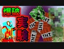 最近いいことないから爆破実験でもしようか【Minecraft】part15