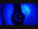 LUMINOX(ルミノックス)