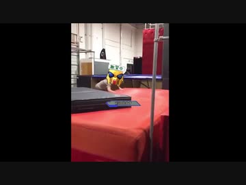 タ　イ　ヤ　マ　ン..exvs2