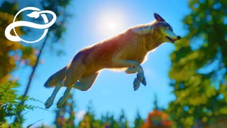 #6 体験型エリア！オオカミの森を生やそう【Planet Zoo・建築実況】