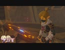 ゼルダの伝説ブレスオブザワイルドを実況10　アサシン陣営