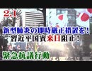 【民間防衛】2.1 新型肺炎の即時厳正措置を！習近平国賓来日阻止！緊急抗議行動 [R2/2/8]