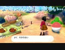 【実況】ポケモン剣盾～よくわからない事は多い…～Part19