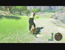 【Switch】リンクの記憶なしで成り行き旅【プレイ動画】part11