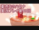 絶対弟を助けるぞ！　薬売りのハサナ実況プレイ第41回