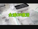 【ありの飼育記#117】絶不調のコロニーたち