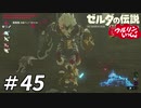 【実況】ウルリンといっしょ＃45｢逃げ場のない密室での一騎打ちという熱い展開｣【BotW】