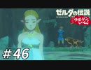 【実況】ウルリンといっしょ＃46｢『無才の姫』の苦悩｣【BotW】