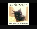【ねことドイチ】北ドイツのカクテル、アルスターヴァッサー