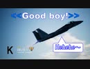 Ace Combat 7 Multiplayer638 バトルロイヤル F-15C + PLSL
