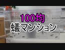 【ありの飼育記#118】蟻の巣の作り方【マンションタイプ】