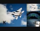Ace Combat 7 Multiplayer639 チームデスマッチ F-15C + PLSL