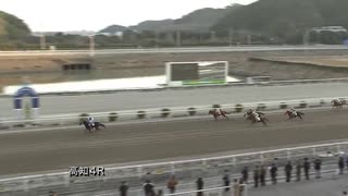 2020年2月4日高知競馬4R 高知けいば騎手会協賛 大恵陽子誕生日特別(C3-5組) バイクミリオン