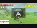【寄り道ばかりの】ゼルダの伝説BotW【実況プレイ記録53】風景画のほこら