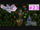 やっとストーリー進めます！2Dは何かと状況を映像で表現するのが難しいねw【ドラゴンクエストⅪSdeダイエット2D#23】ユグノアキャンプ~ユグノア城跡。