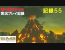 【寄り道ばかりの】ゼルダの伝説BotW【実況プレイ記録55】ゴロンシティ到着