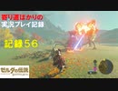 【寄り道ばかりの】ゼルダの伝説BotW【実況プレイ記録56】強化は時間かかります