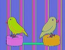 バード・メンテナンス・メソッド