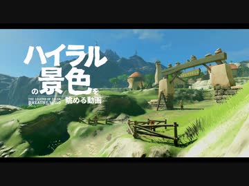 【風景】ハイラルの景色を眺める動画【ハテノ村】