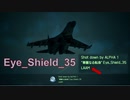 Ace Combat 7 Extra206 バトルロイヤル アイシールド氏とのタイマン総集編