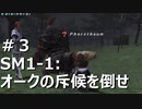 [実況]ファイナルファンタジーXI/FF11 #3 SM1-1: オークの斥候を倒せ