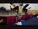 【ＪＡＺＺ】酒と薔薇の日々　Day of wine and roses, the　酒とバラの日々　ギターデュオ【さくらます】