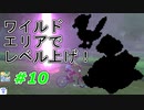 【実況】ワイルドエリアでレベル上げ！【ポケットモンスター シールド】Part10