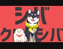 【黒井しばMAD】シバクロイシバ