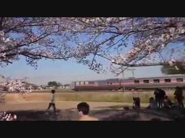 撮り鉄「止ま…止まれェェェェーーーー！！！！！」