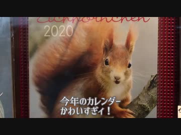 【ねことドイチ】ひと足早い春探し&そのへんのきゃわわ小動物&うりの白まゆげ