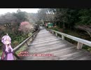 ゆかりさんと行ってみよう！やってみよう！【静岡県で蓬莱橋渡って聖地巡礼してきた編 】