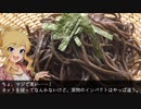 【音威子府TOKYO】唯「北の国から真っ黒お蕎麦がやってきた」