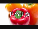ドバリカ(short ver) 【パプリカ変態糞土方MAD】
