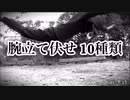 中学生未熟な腕立て伏せ